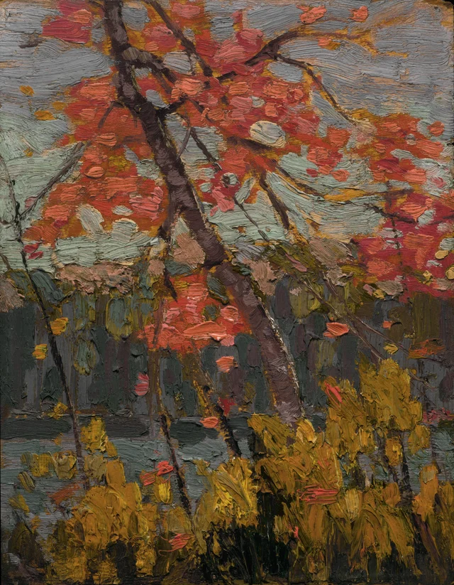 Érable tordu, Tom Thomson