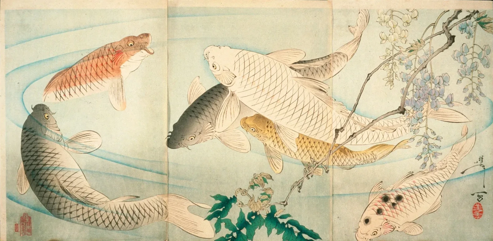 Carp with Wisteria, Tsukioka Yoshitoshi