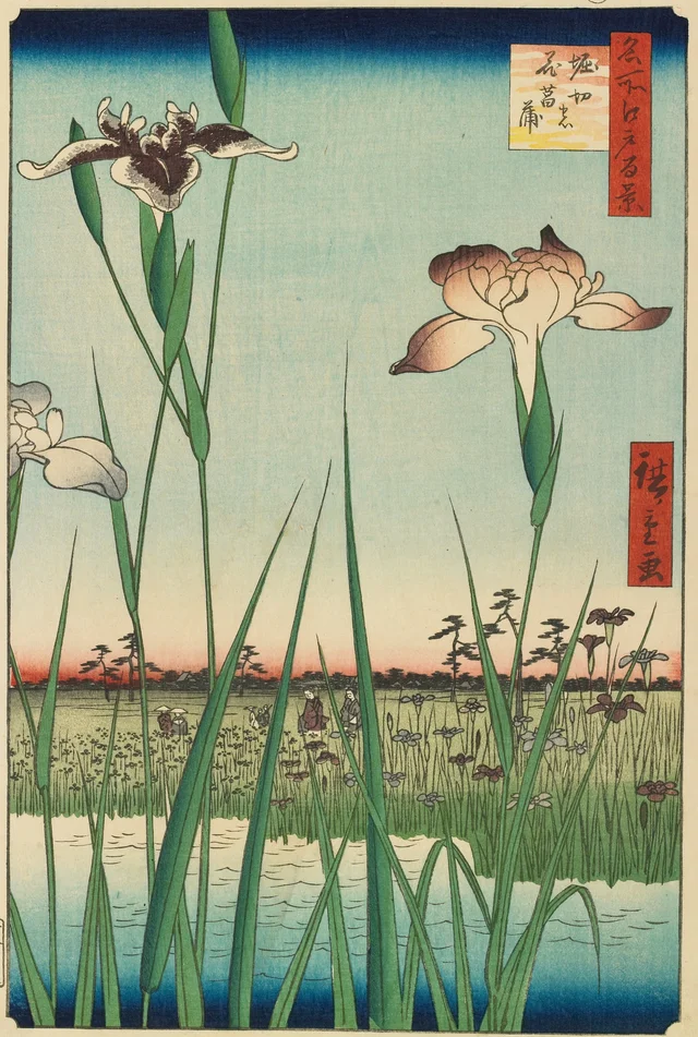 Lirios en Horikiri, de la serie Cien vistas famosas de Edo