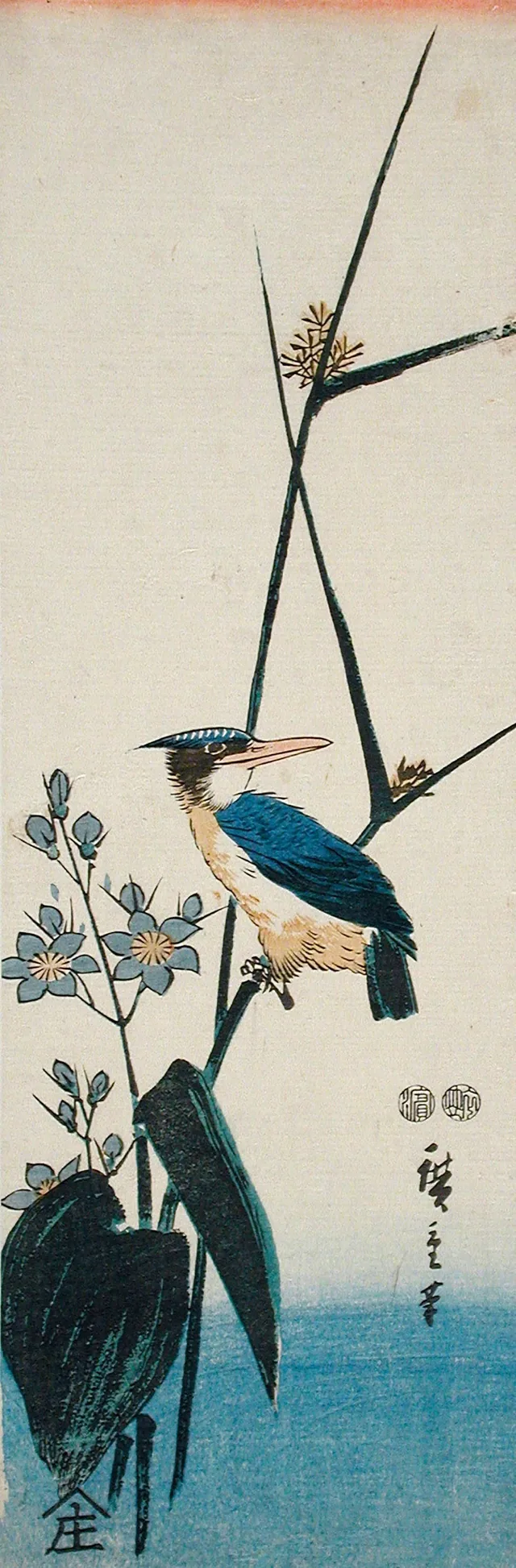Martín pescador y llantén de agua