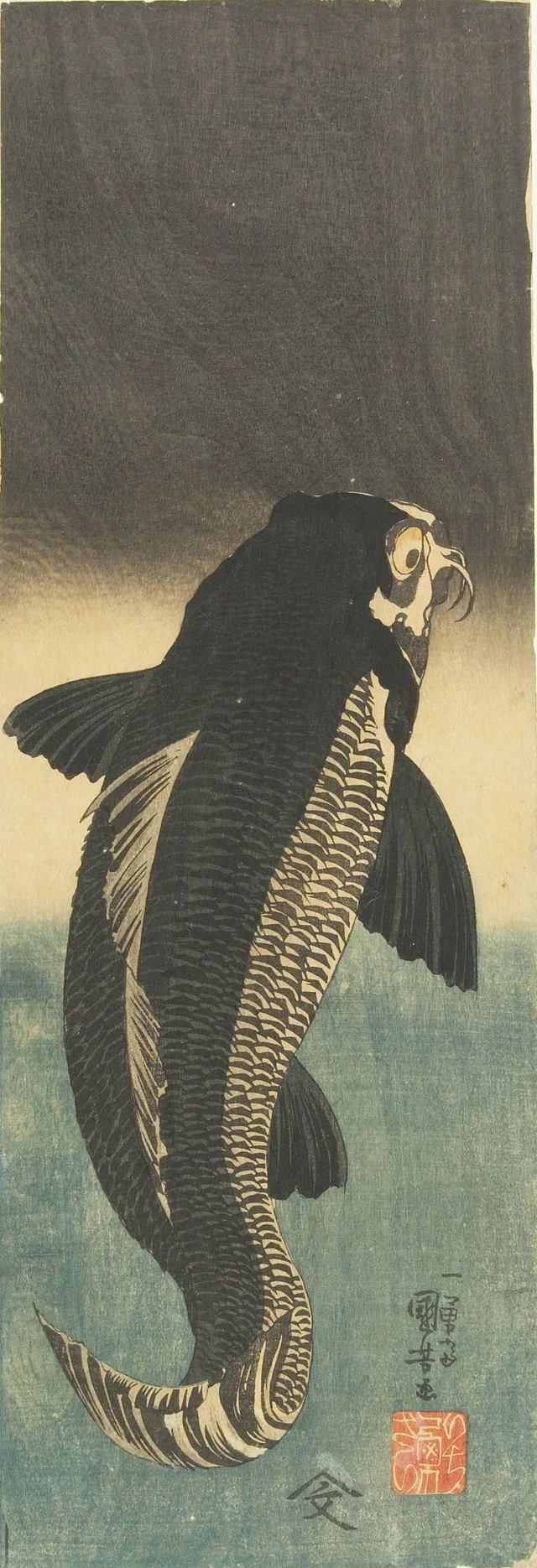 Black Carp