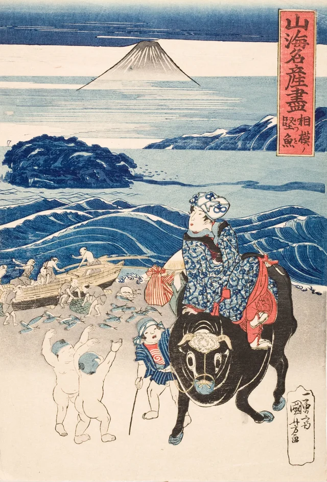 Sagami: un pescador descargando bonitos
