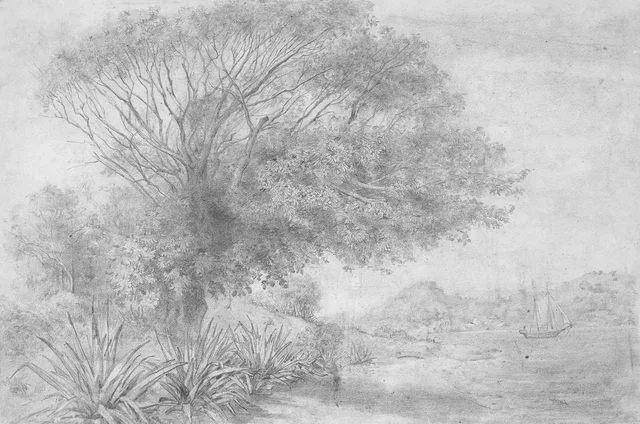 Étude de paysage, Victor Meirelles