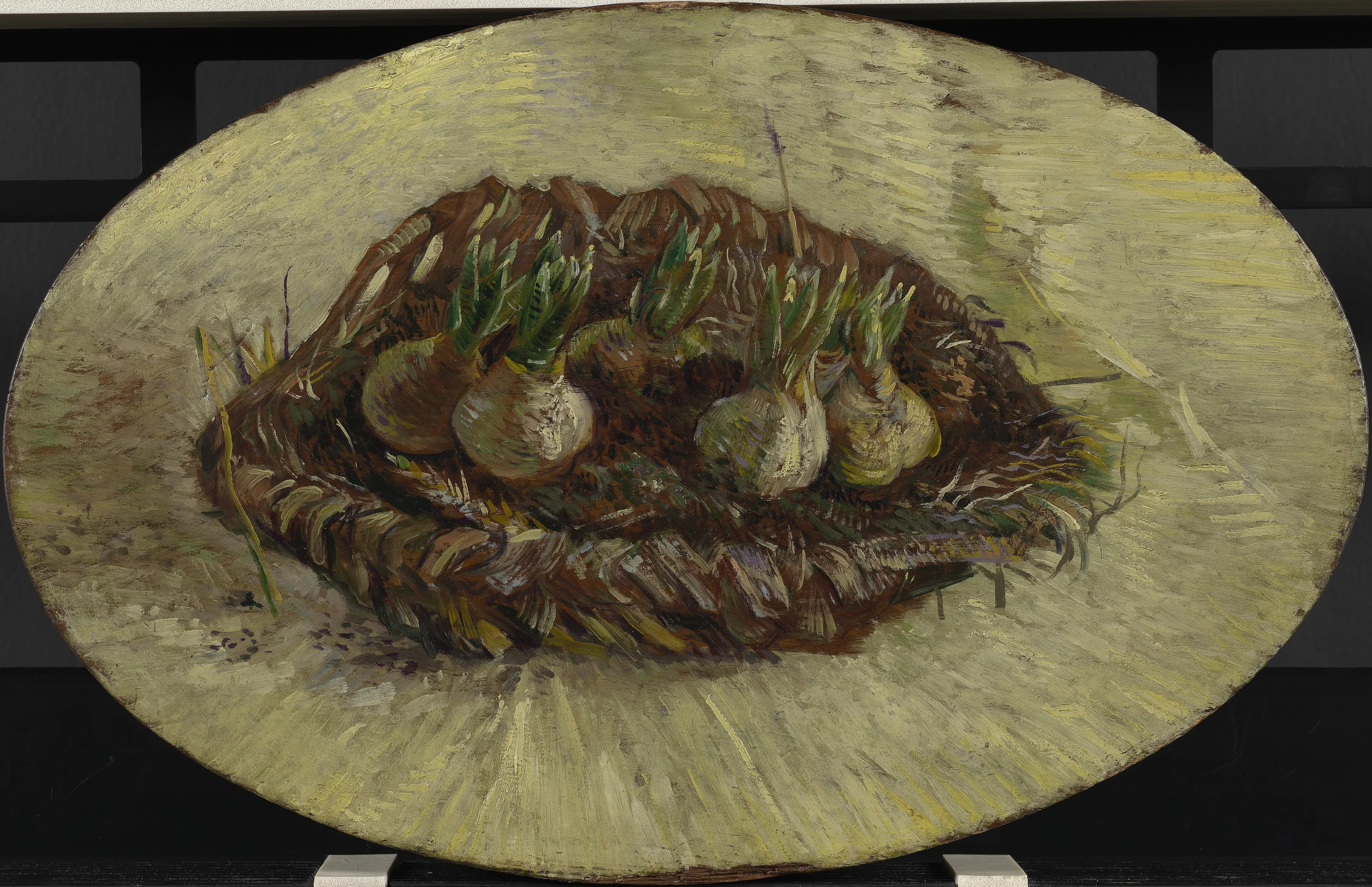 Basket of Hyacinth Bulbs, Vincent van Gogh