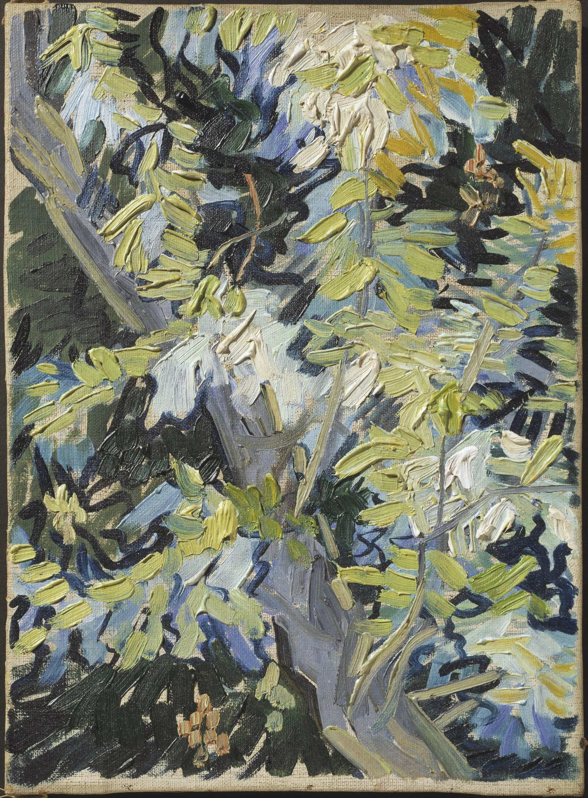 Blossoming Acacia Branches, Vincent van Gogh