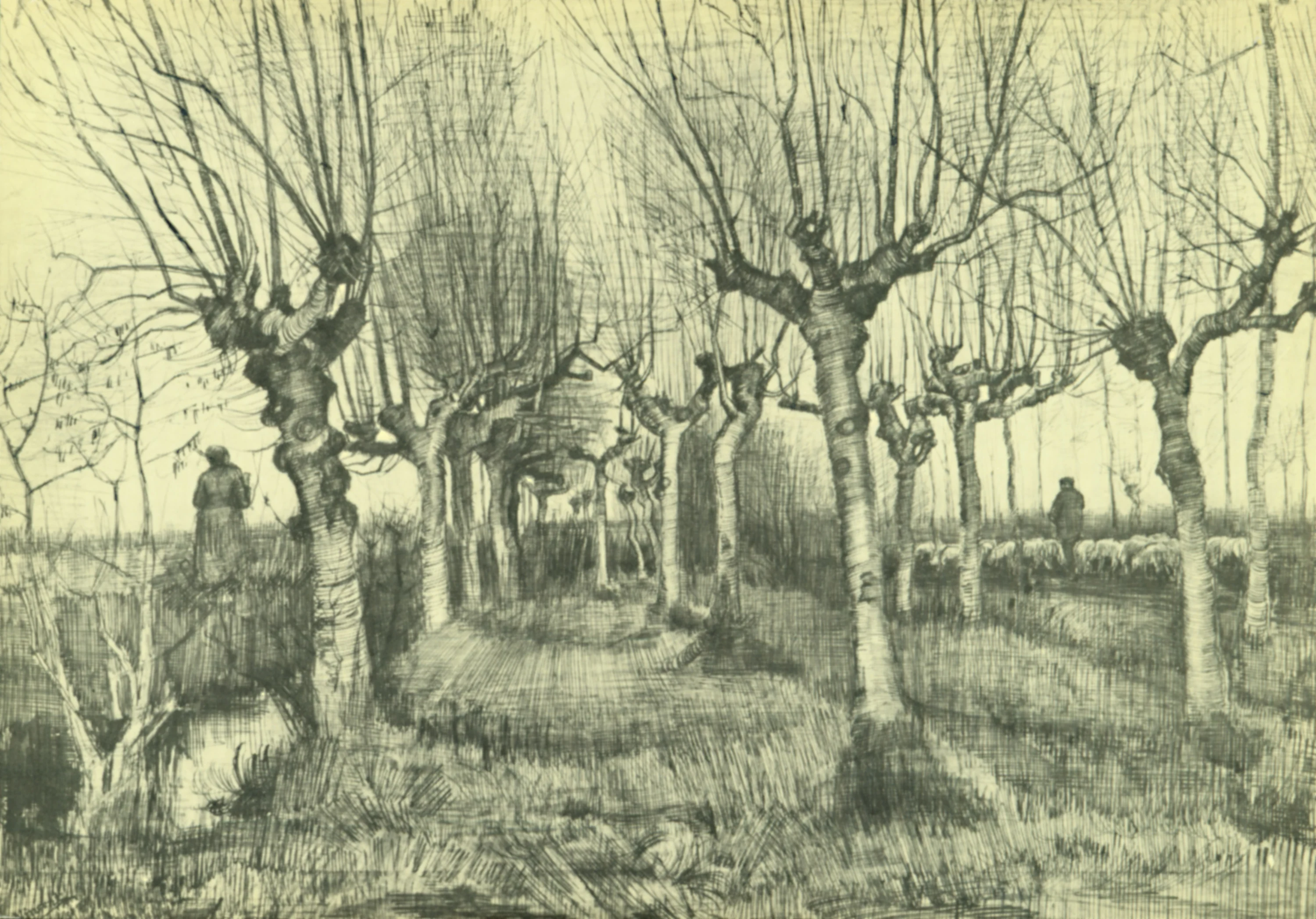 Boulaie et Berger, Vincent van Gogh