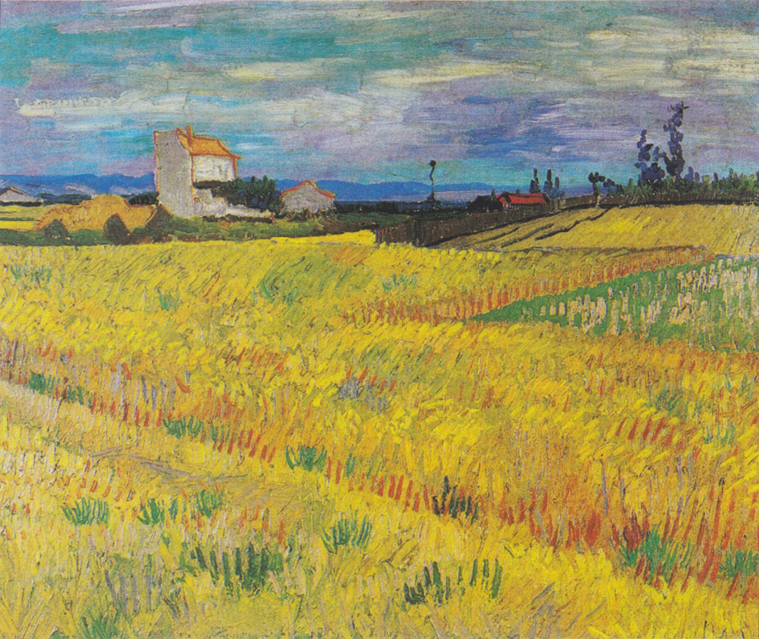 Champ de blé, Vincent van Gogh