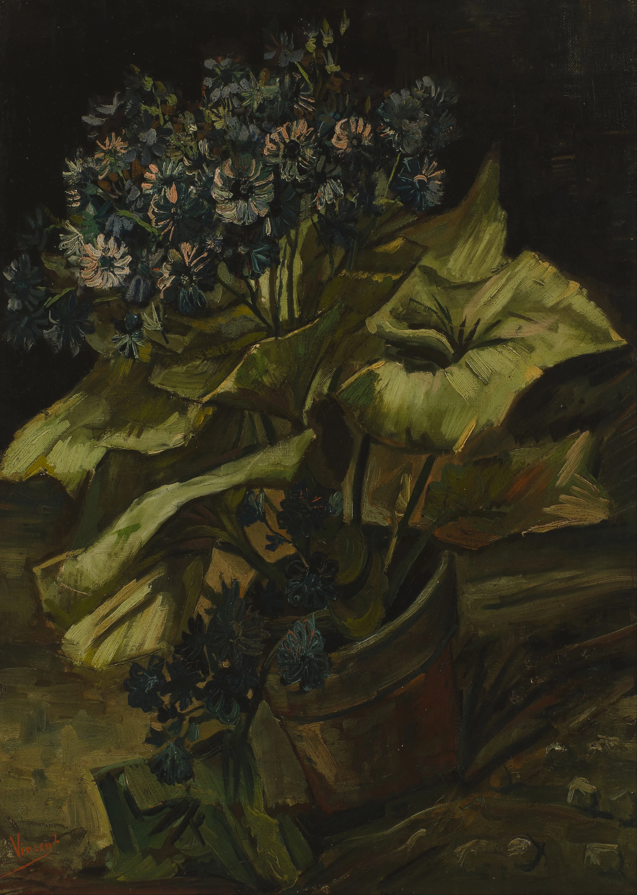 Cineraria, Vincent van Gogh