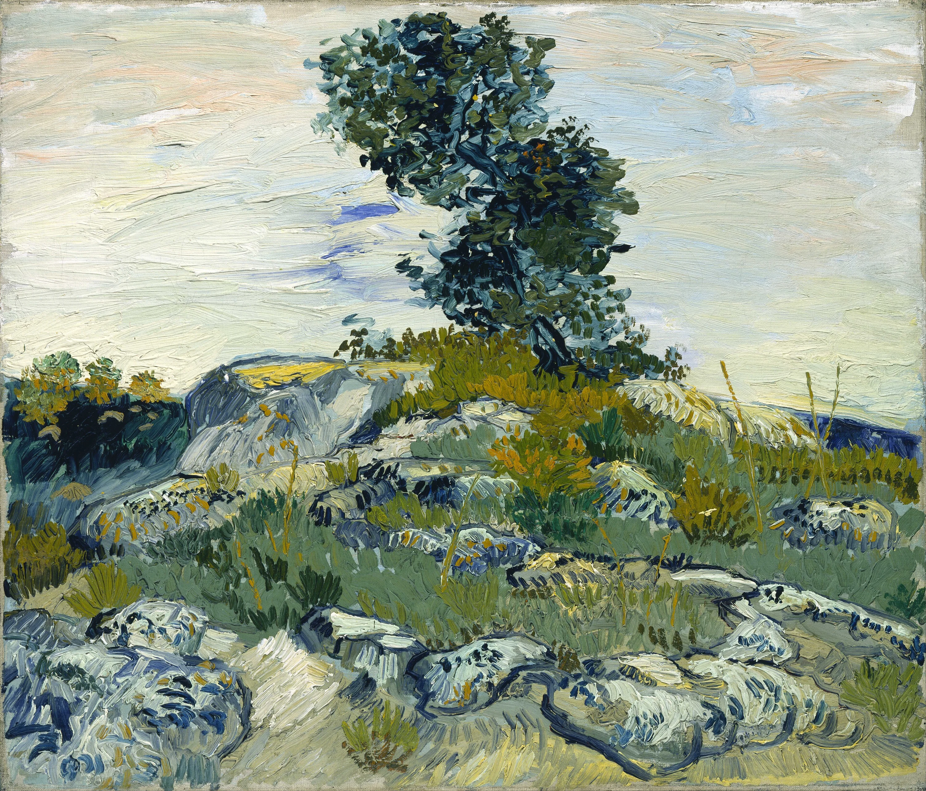 Collines rocheuses de chênes, Vincent van Gogh