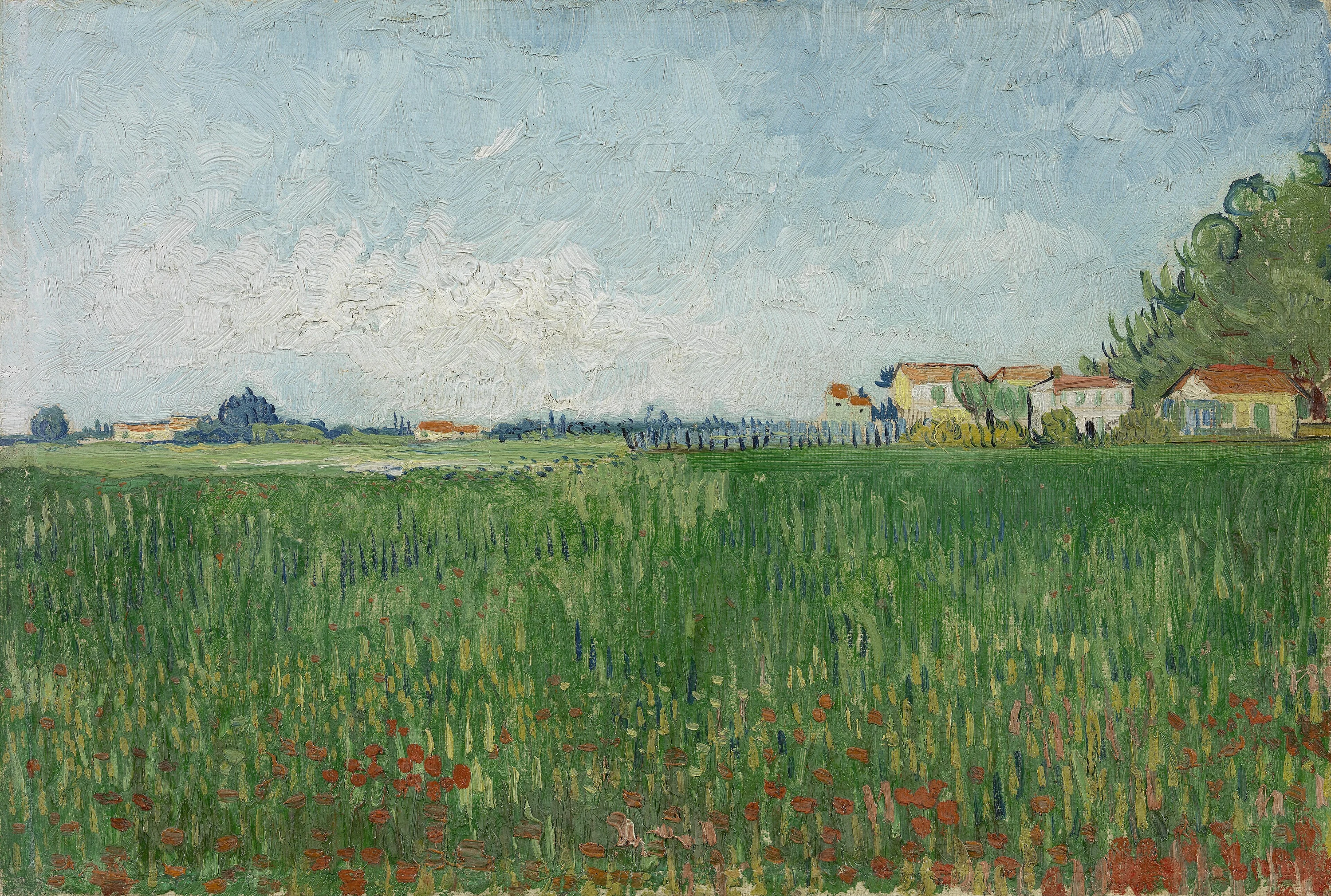 Field with Poppies, Vincent van Gogh