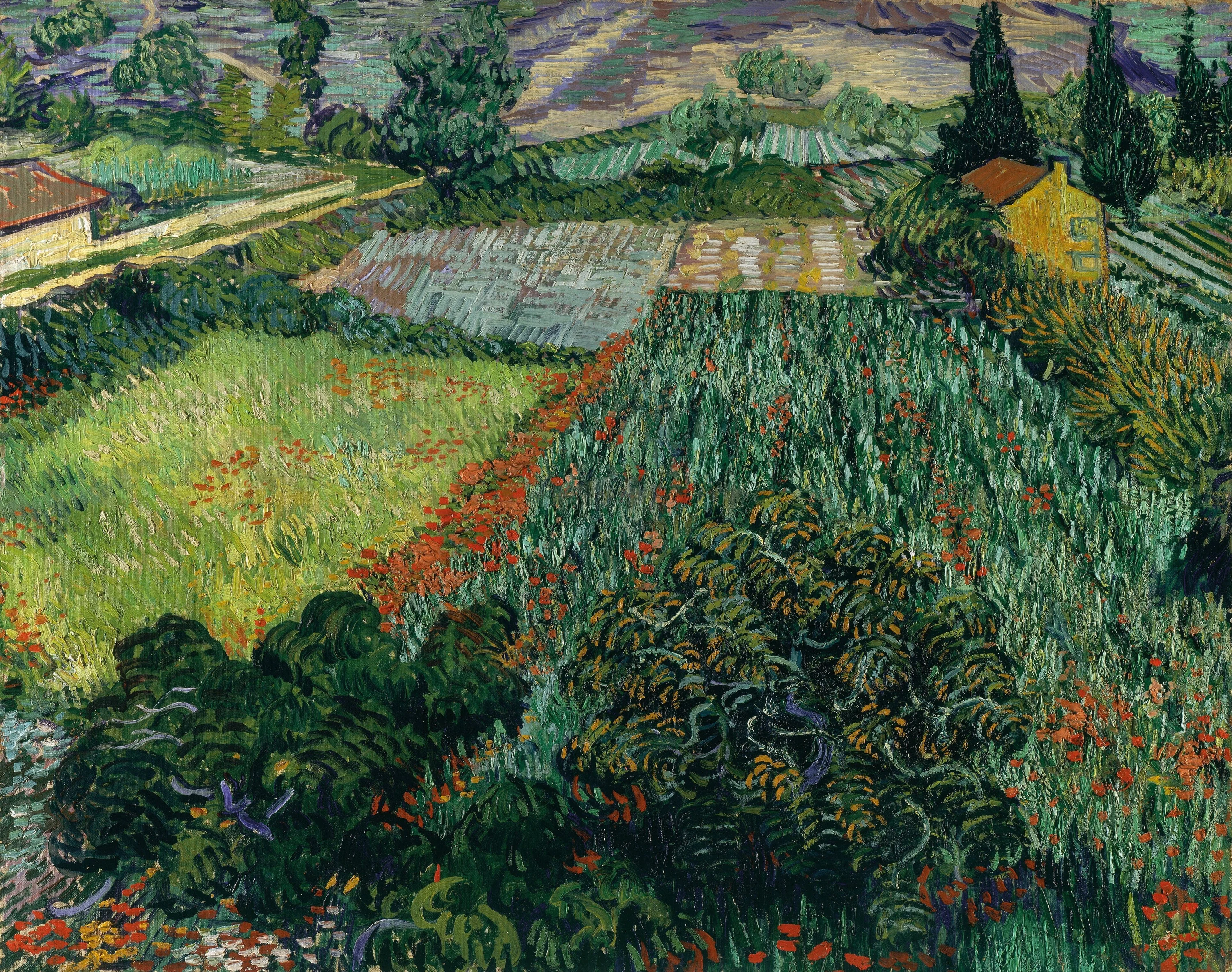 Field with Poppies, Vincent van Gogh