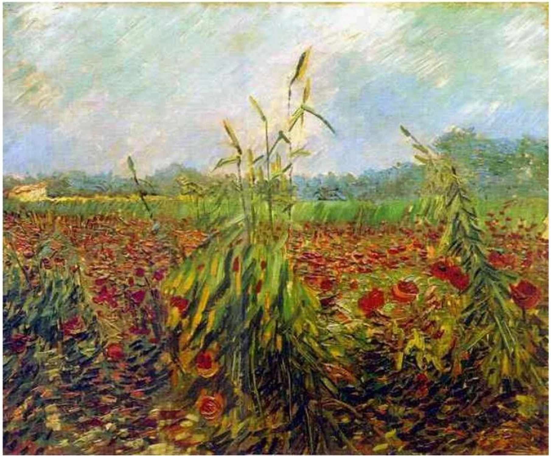 Green Ears of Wheat, Vincent van Gogh