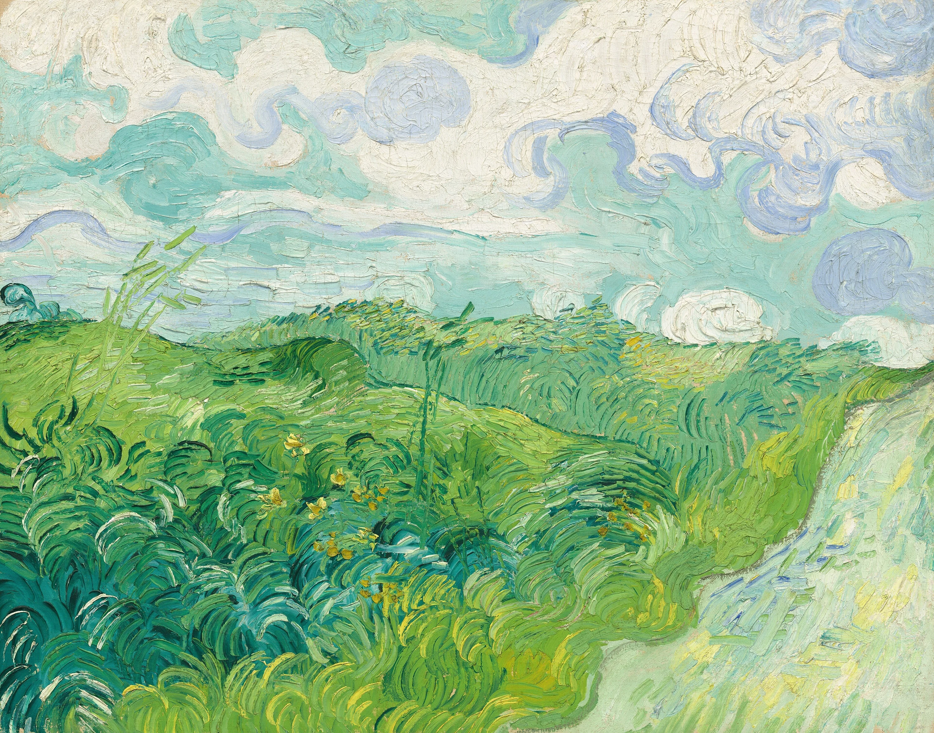Green Wheat Fields, Auvers, Vincent van Gogh