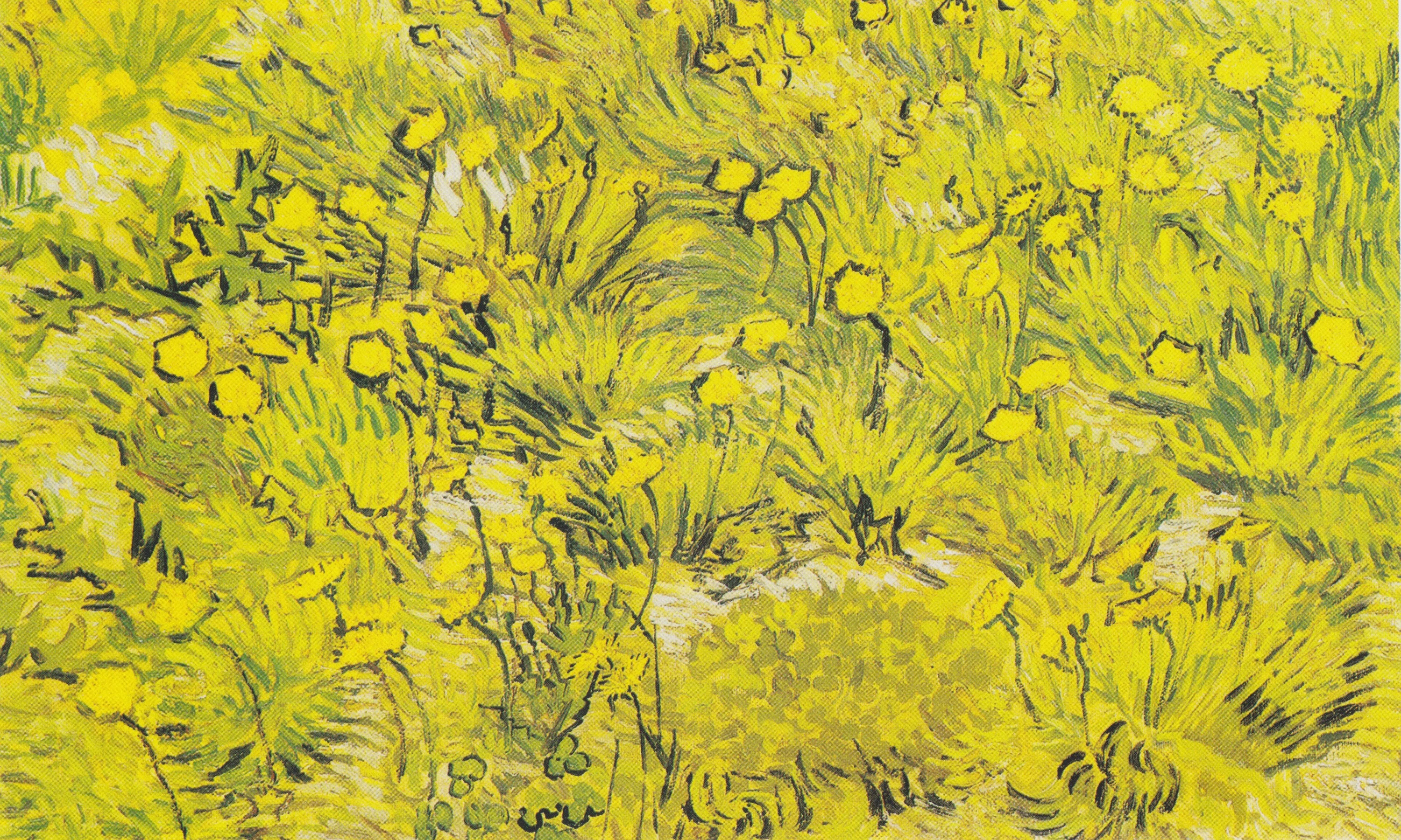 Meadow with yellow flowers, Vincent van Gogh