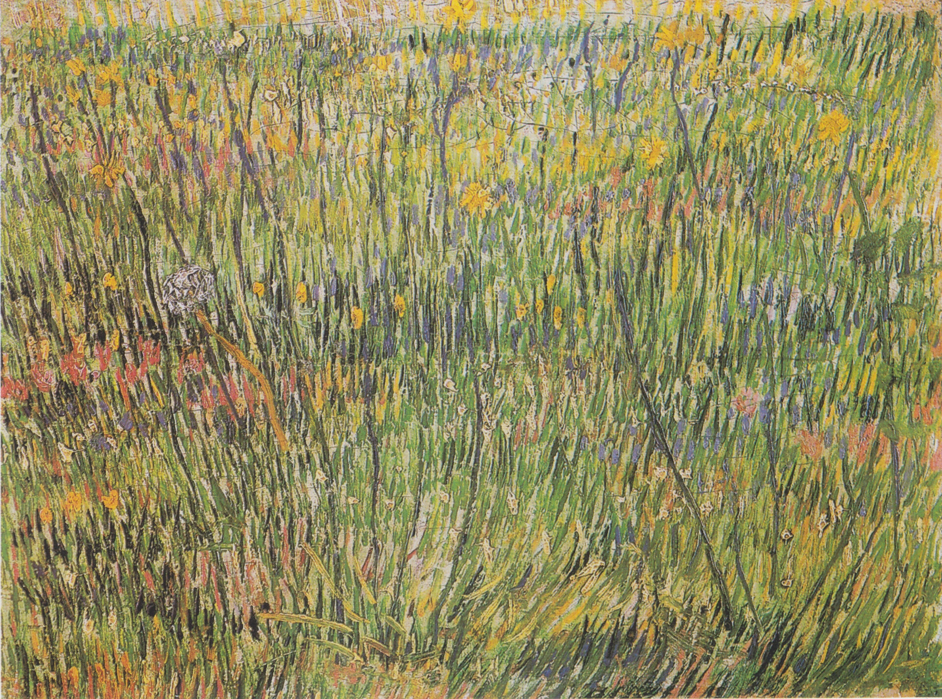 Pasture in Bloom, Vincent van Gogh