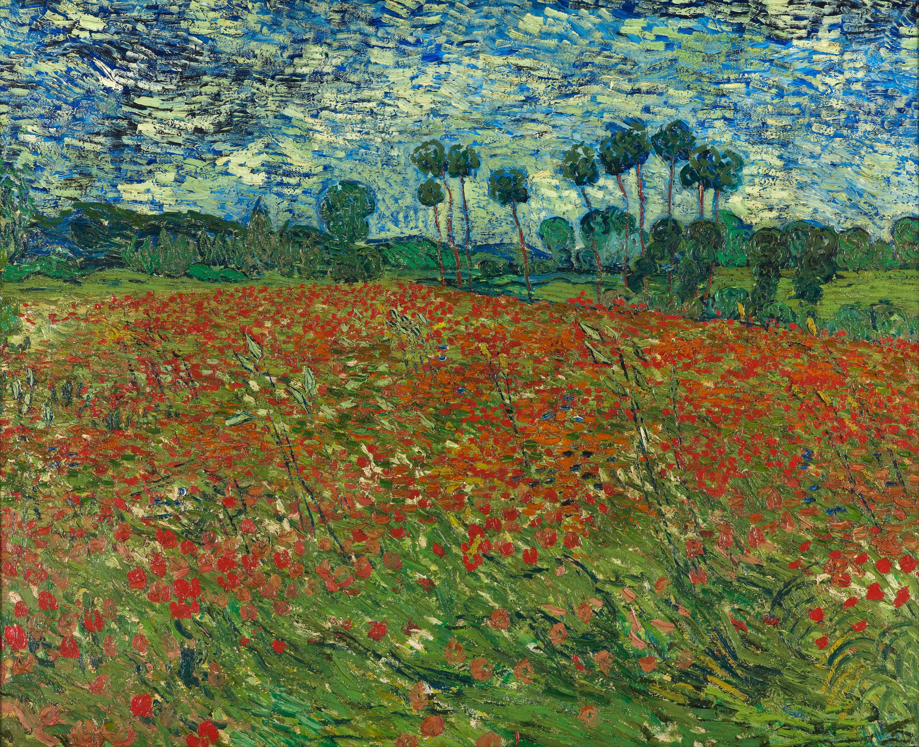 Poppy field, Vincent van Gogh
