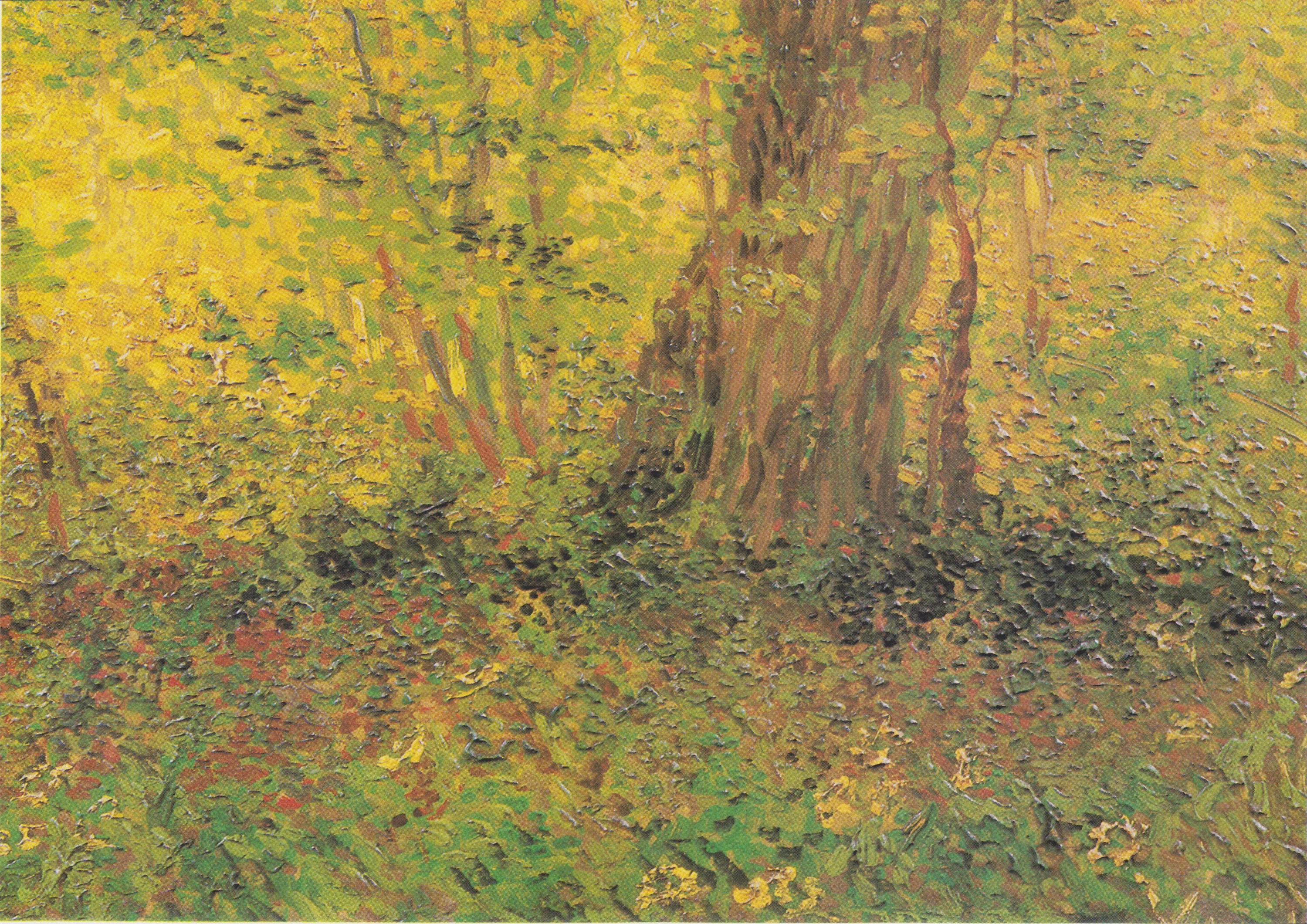 Sous-bois, Vincent van Gogh