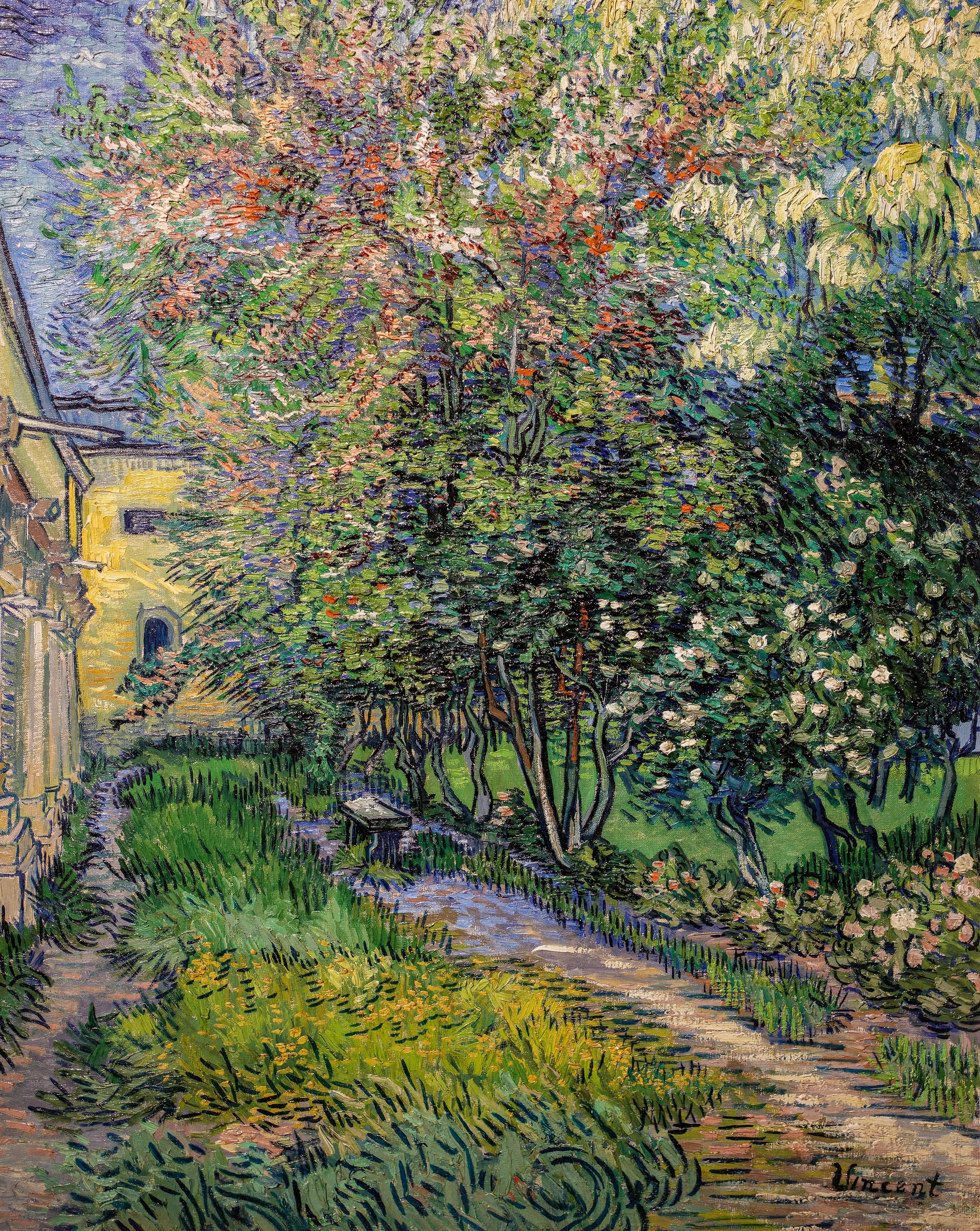The garden at the asylum at Saint-Rémy, Vincent van Gogh
