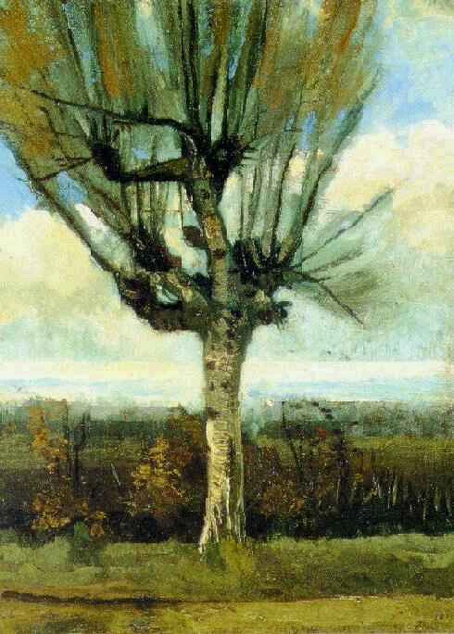 The Willow, Vincent van Gogh