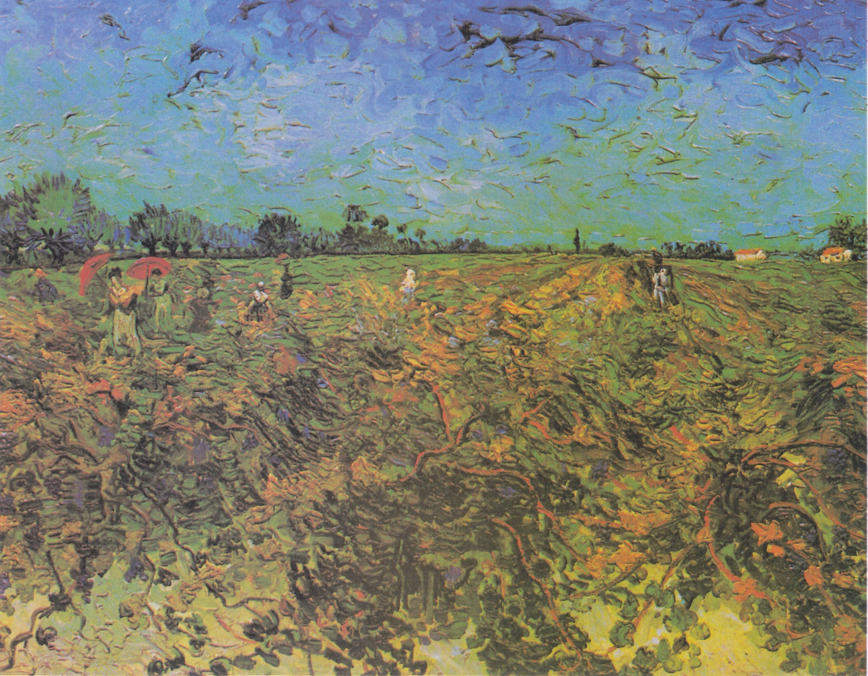 Vigne verte, Vincent van Gogh