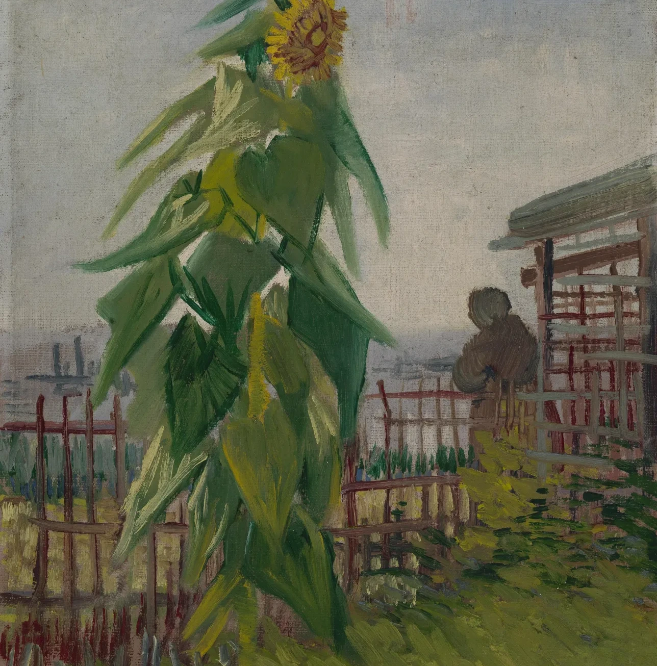 Allotment with Sunflower, Vincent van Gogh