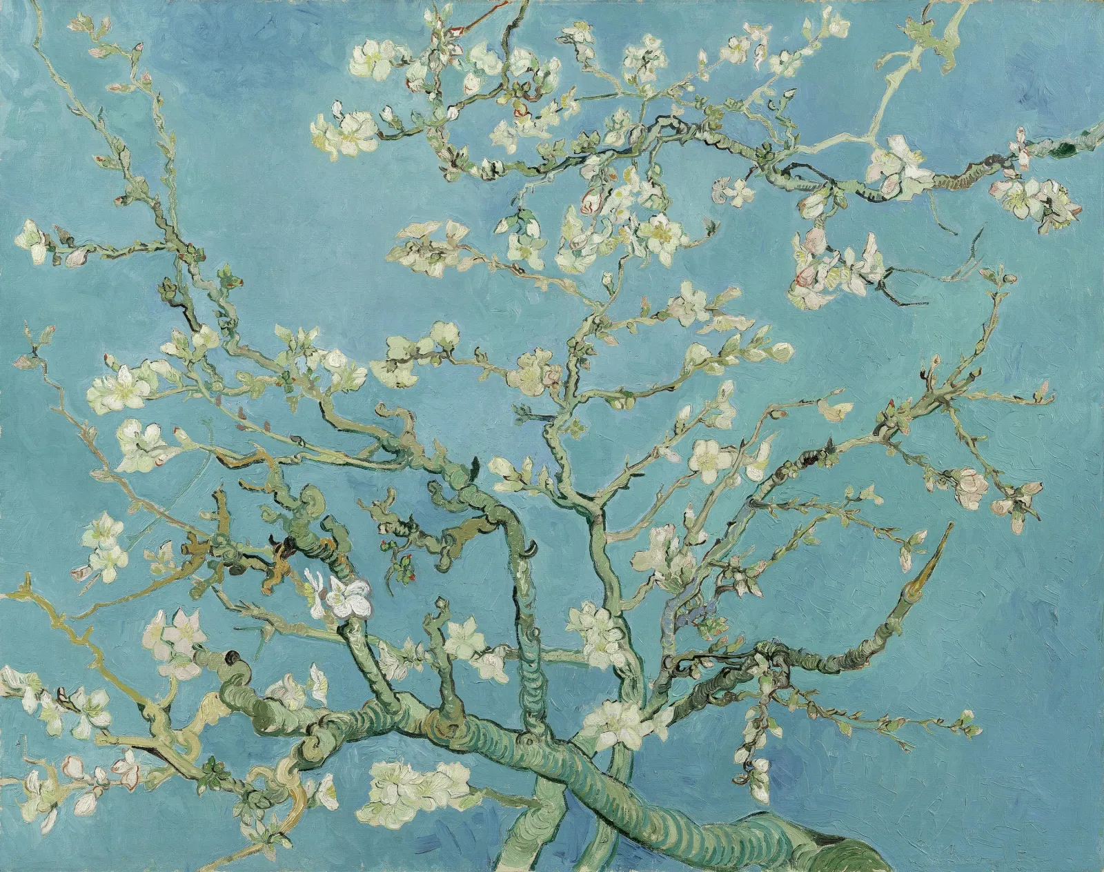 Amandier en fleurs, Vincent van Gogh