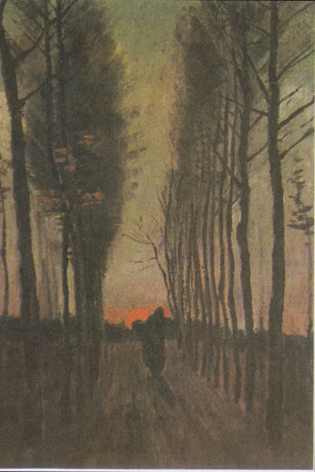 Avenue des peupliers au coucher du soleil, Vincent van Gogh