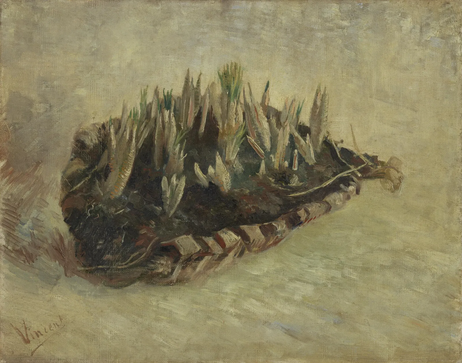 Basket of Crocus Bulbs, Vincent van Gogh