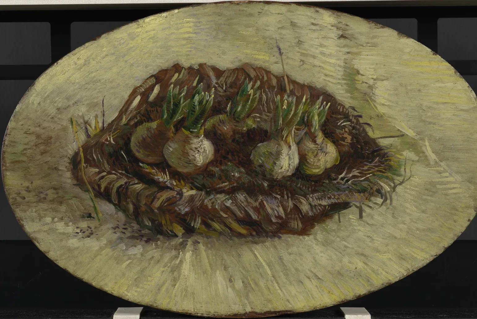 Basket of Hyacinth Bulbs, Vincent van Gogh