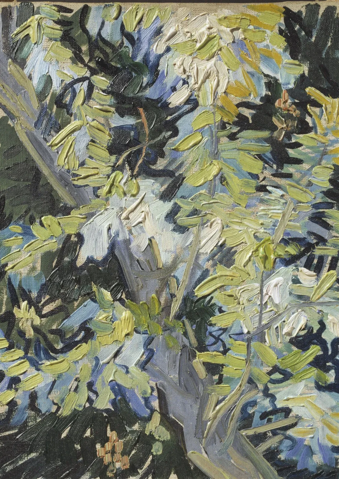 Blossoming Acacia Branches, Vincent van Gogh