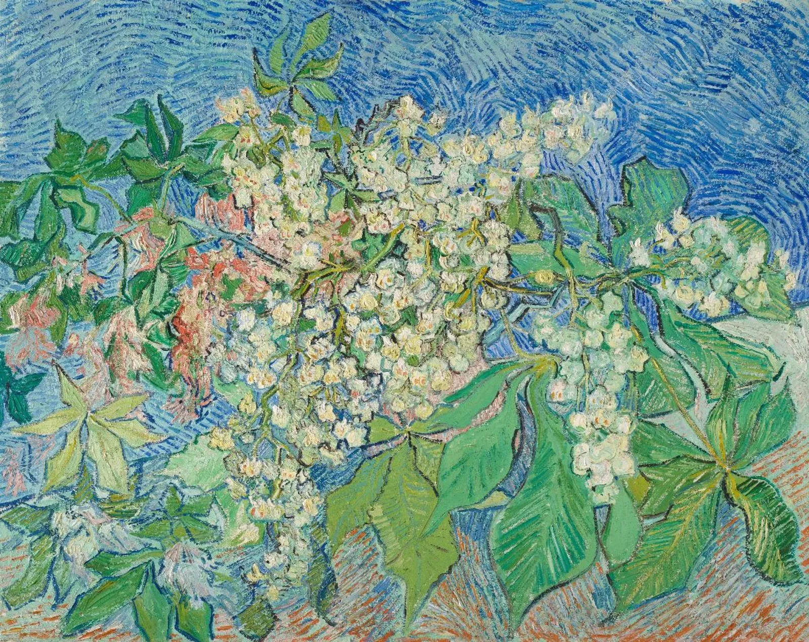 Branches de marronnier en fleur, Vincent van Gogh