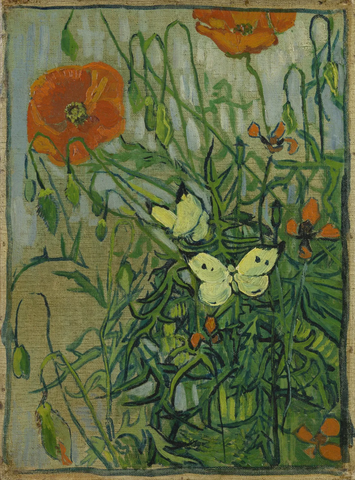 Butterflies and Poppies, Vincent van Gogh
