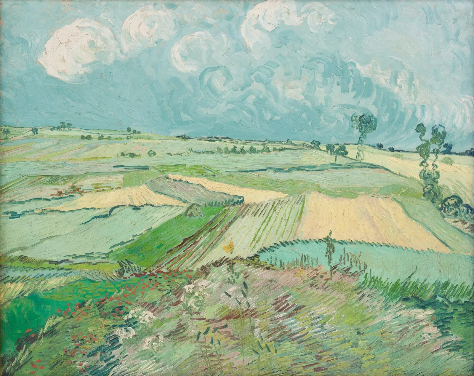 Champs de blé après la pluie, Vincent van Gogh