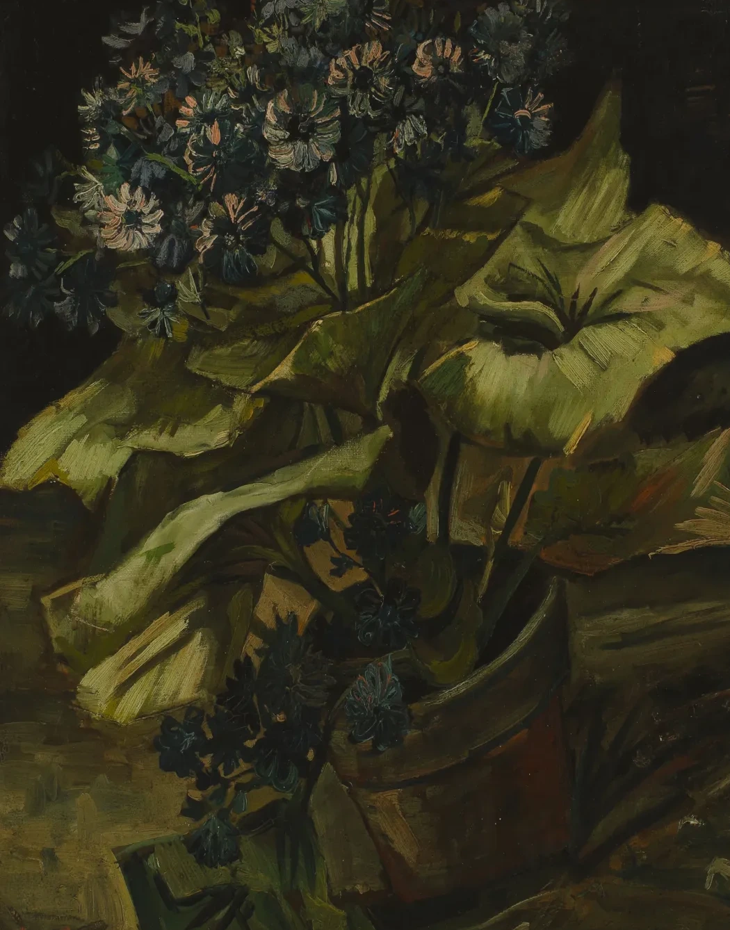 Cineraria, Vincent van Gogh