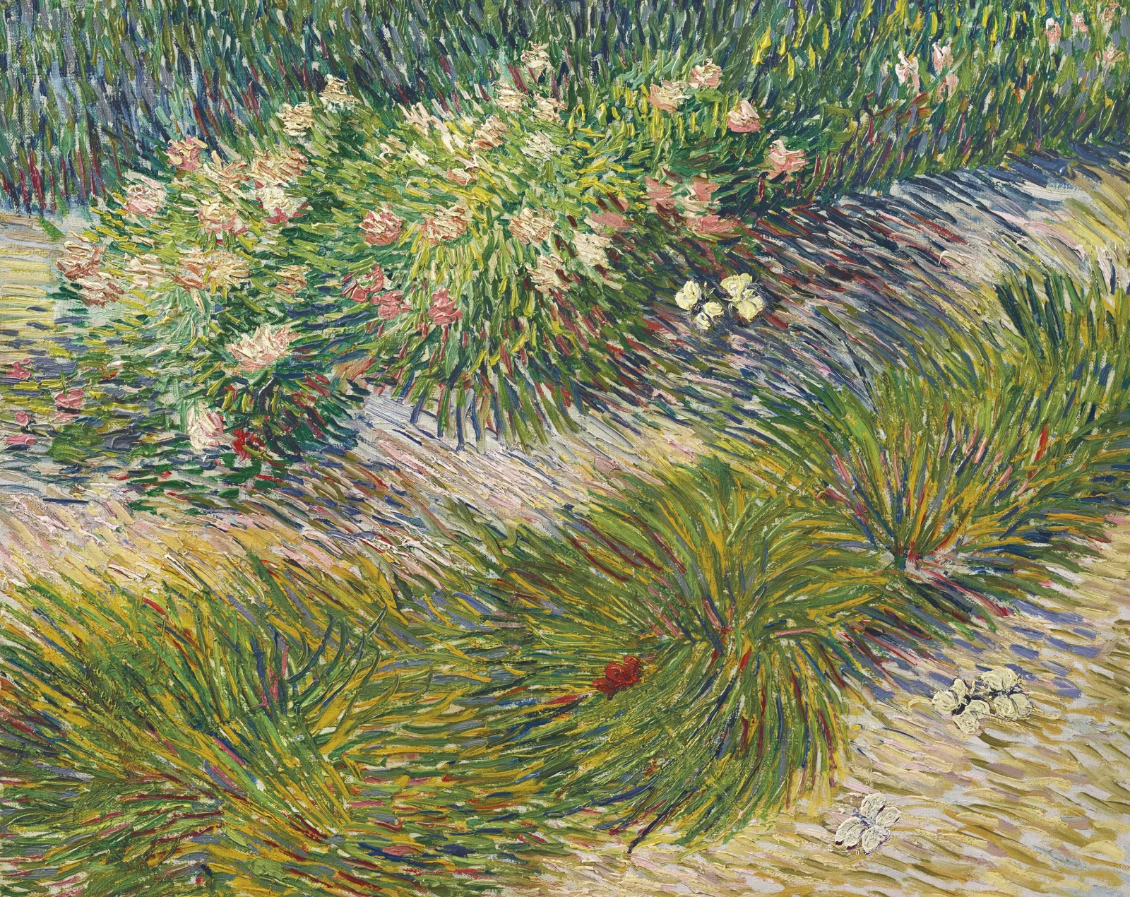 Coin de jardin avec papillons, Vincent van Gogh
