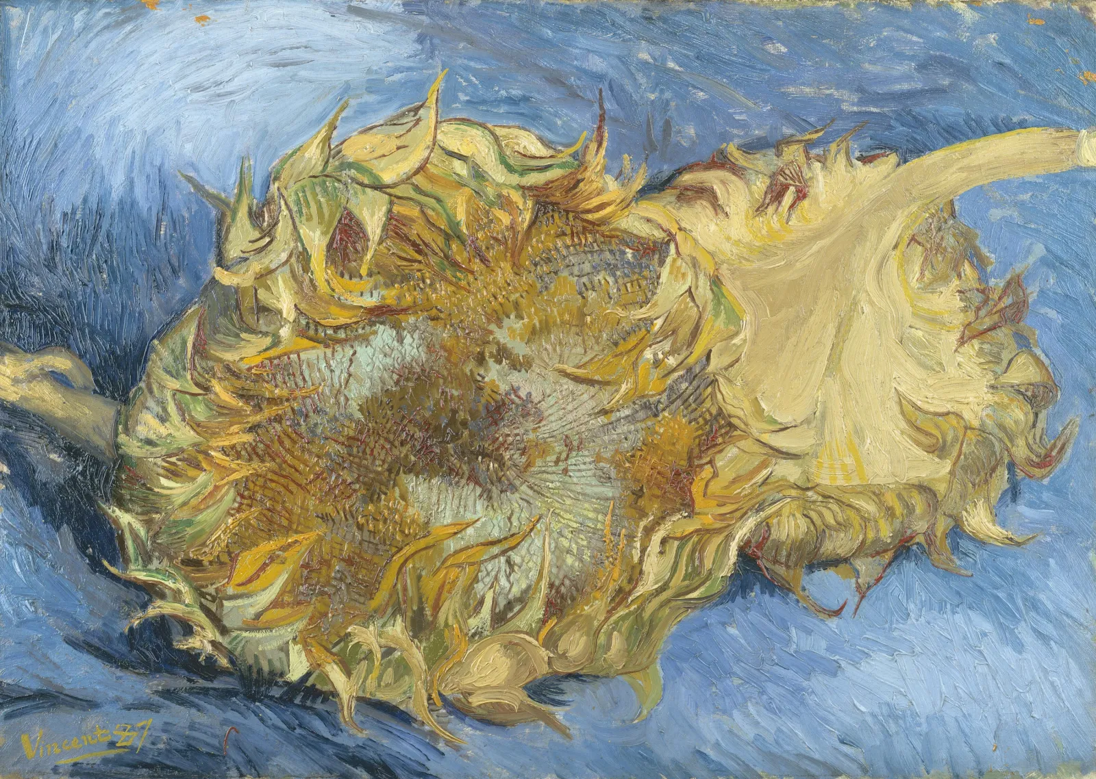 Deux Tournesols, Vincent van Gogh