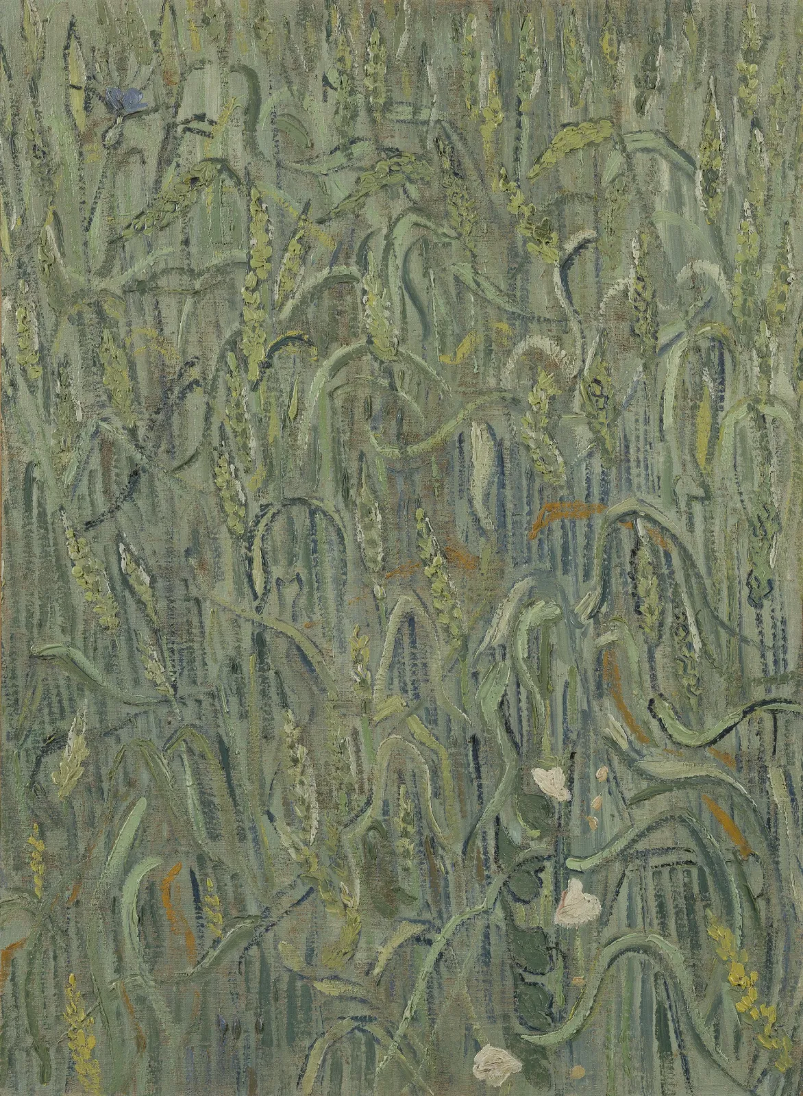 Ears of Wheat, Vincent van Gogh