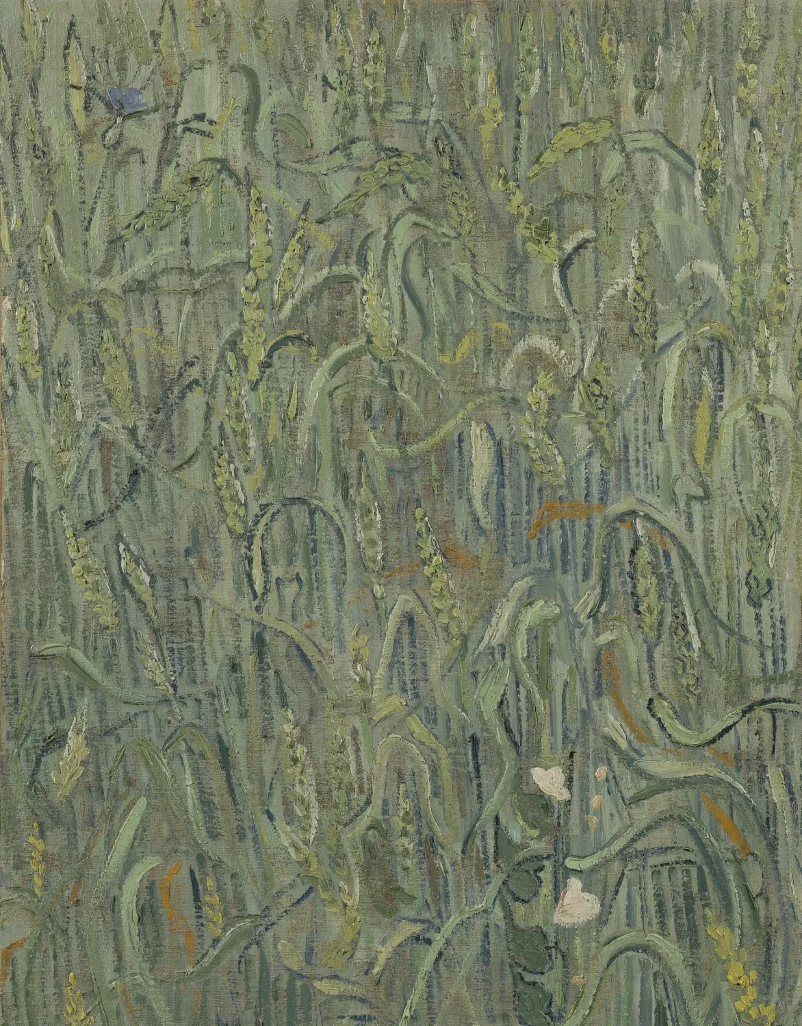 Ears of Wheat, Vincent van Gogh