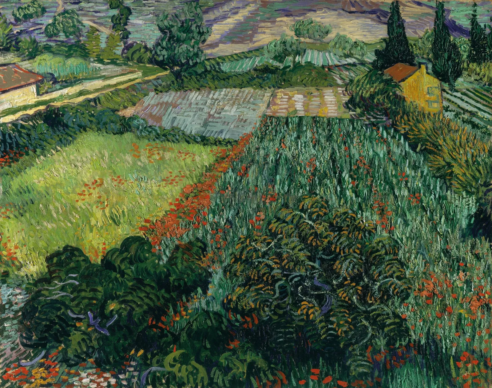 Field with Poppies, Vincent van Gogh