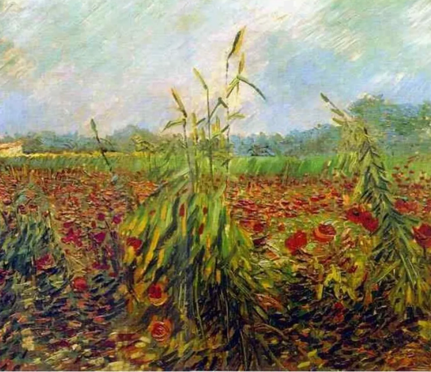 Green Ears of Wheat, Vincent van Gogh