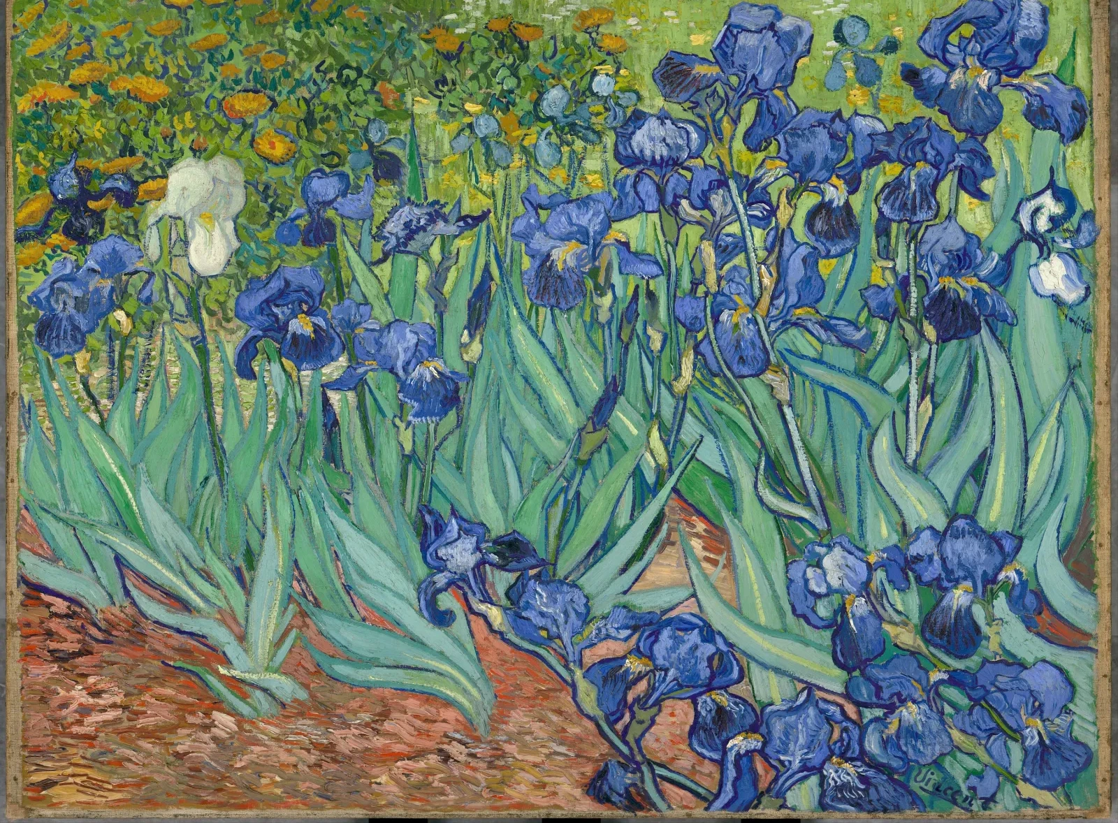 Iris, Vincent van Gogh