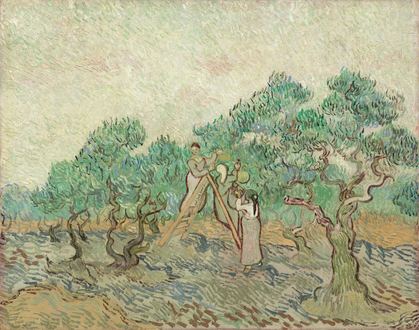 La Cueillette des olives, Vincent van Gogh