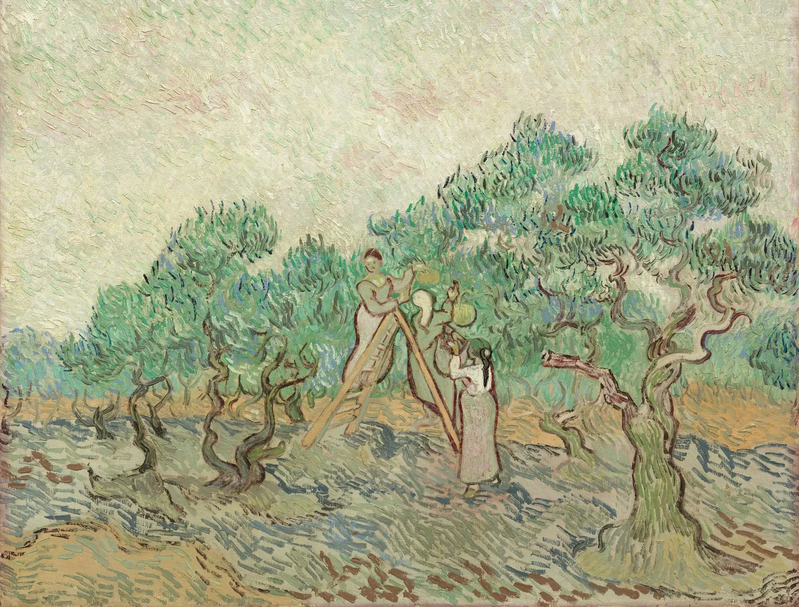 La Cueillette des olives, Vincent van Gogh