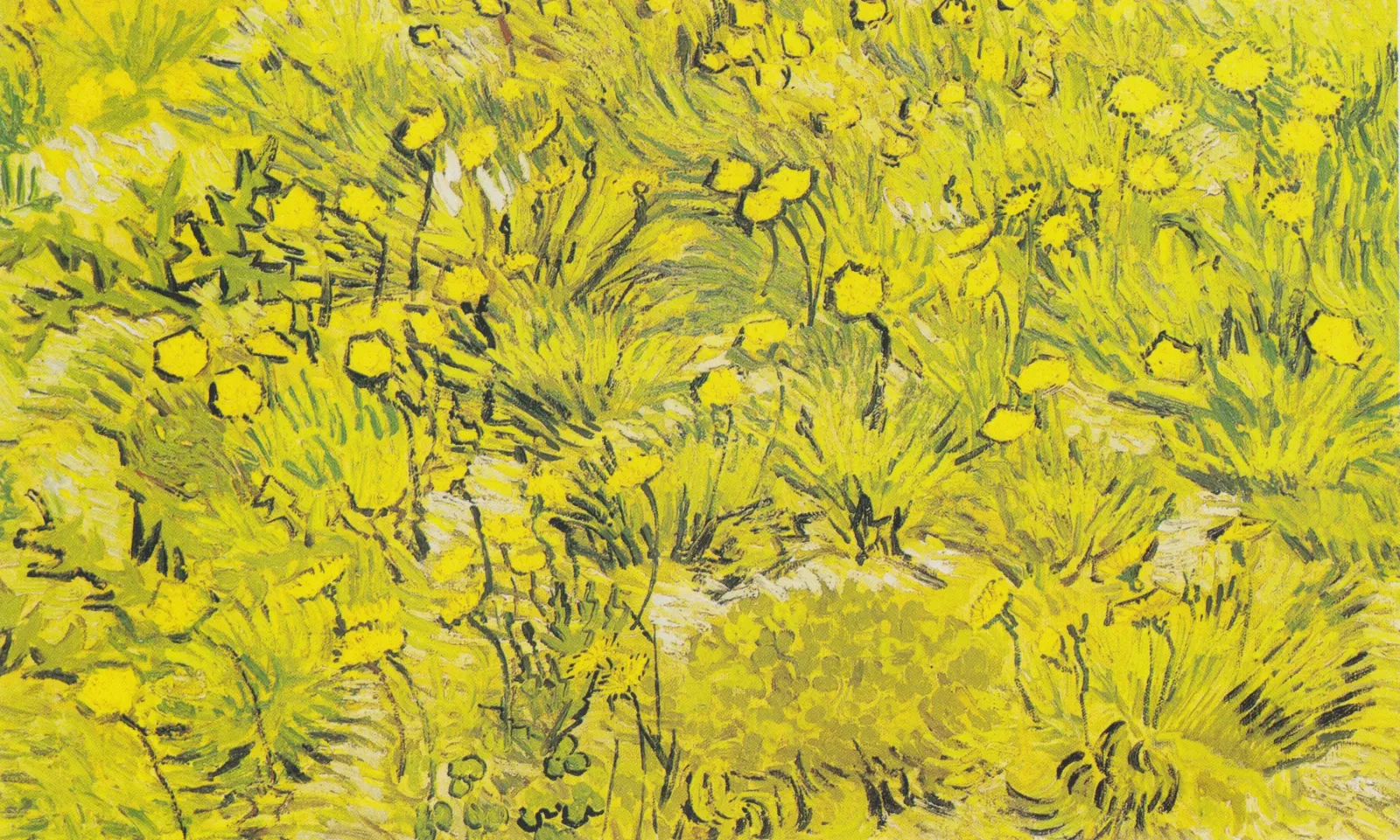 Meadow with yellow flowers, Vincent van Gogh