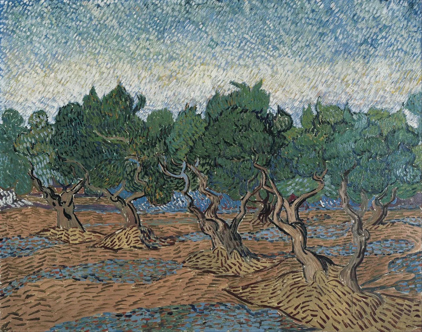 Olive Grove, Vincent van Gogh