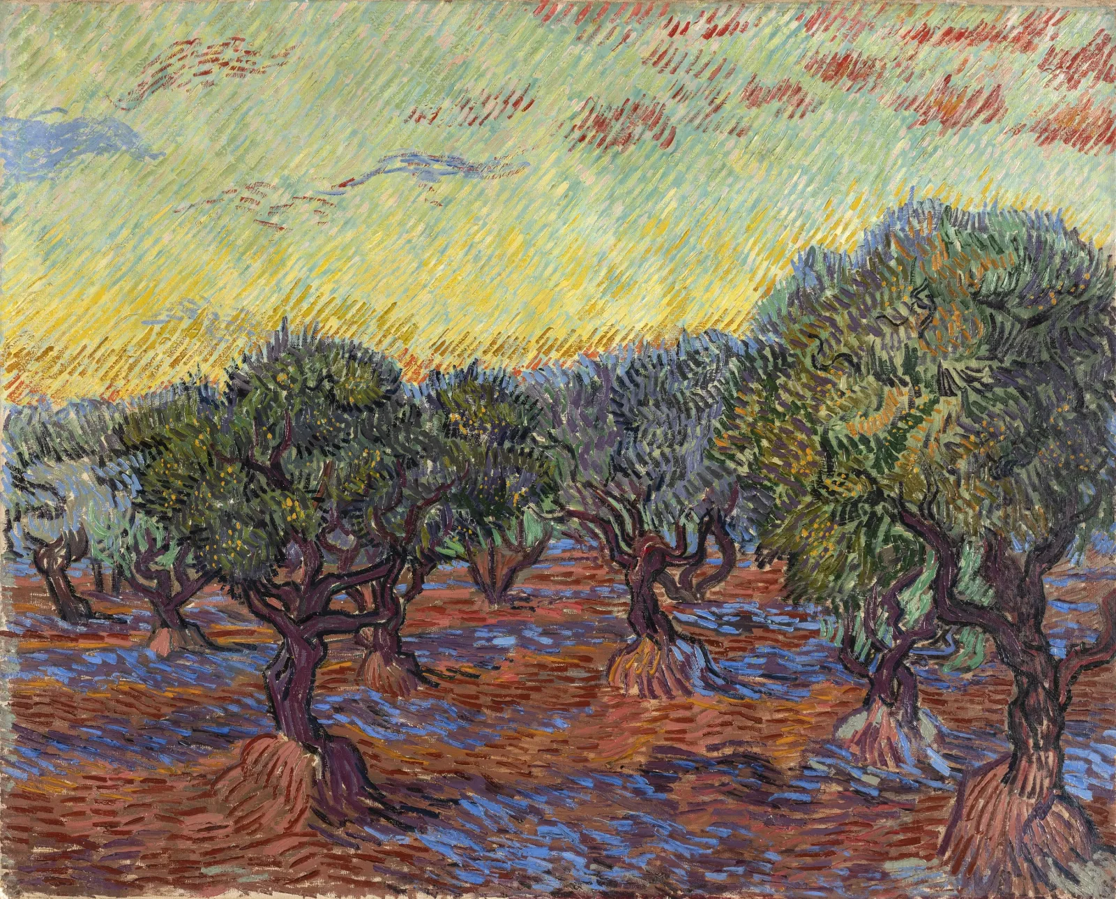 Olive Grove, Saint-Rémy, Vincent van Gogh