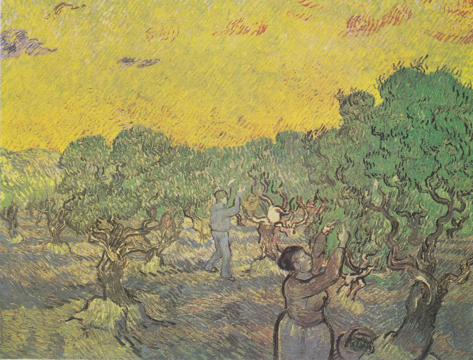 Olive Grove with Picking Figures, Vincent van Gogh