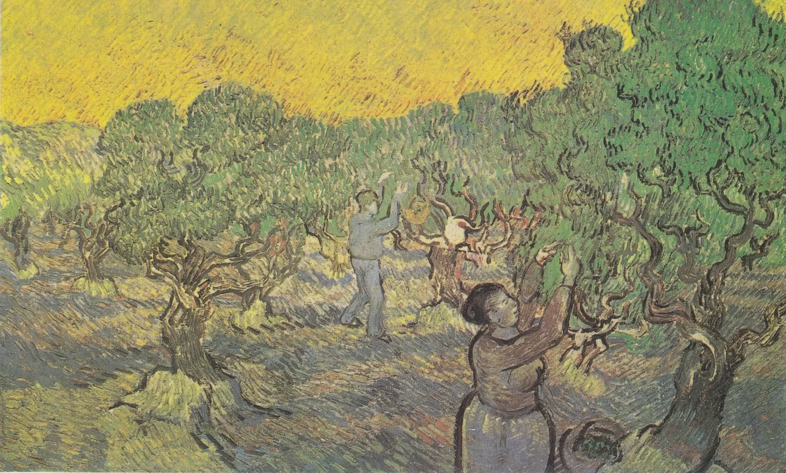 Olive Grove with Picking Figures, Vincent van Gogh