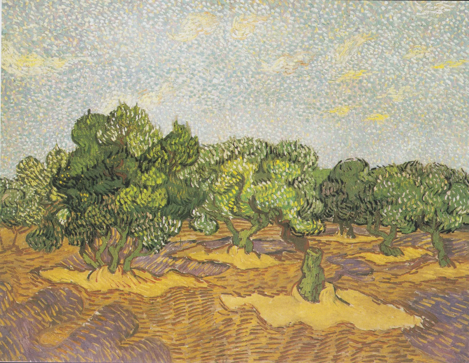 Olive Trees, Vincent van Gogh
