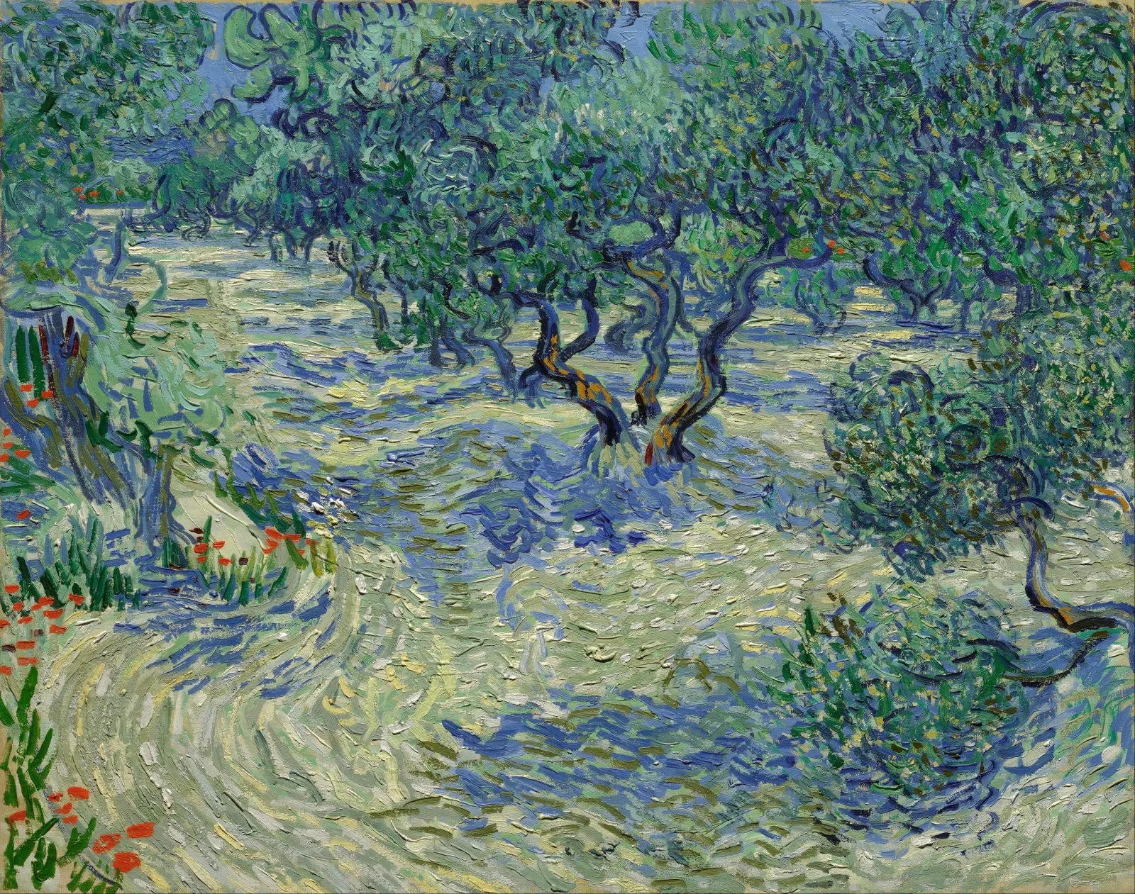 Oliveraie, Vincent van Gogh
